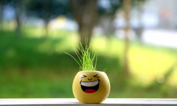 疗愈身体的神奇音乐100首完整版,疗愈身体的神奇密码