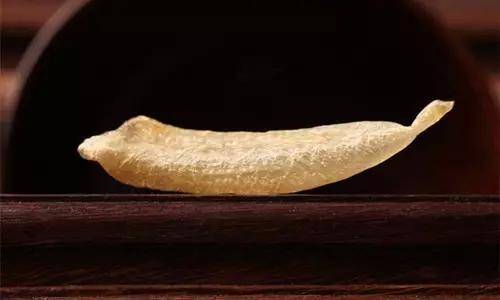 鱼胶知识大全视频,最全常识看完涨知识