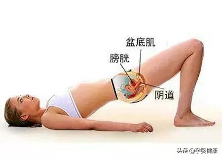 Ella告诉你,生娃以后的“屎尿屁”