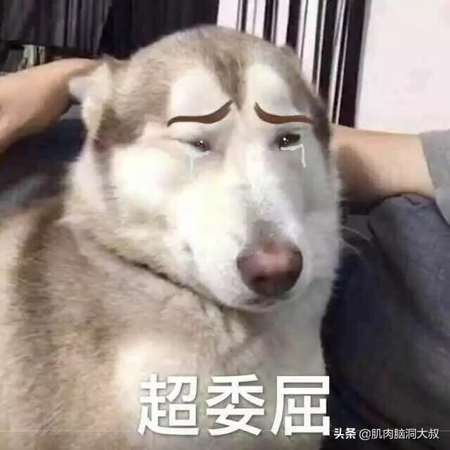 五位数qq号有什么用,五位数的QQ号