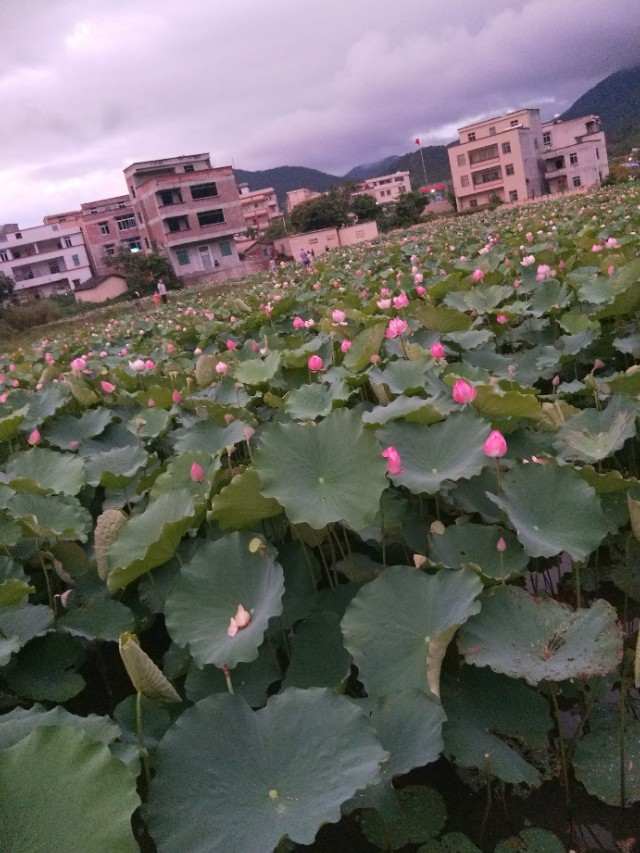 一定不能错过的生活小妙招,不能错过的好用生活小妙招