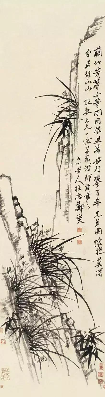 讲解郑板桥兰花画,郑板桥画兰花作品