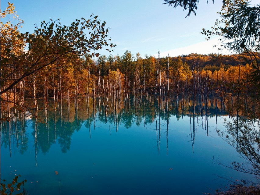 北海道登别到美瑛町需多久,日本北海道美瑛川的雪景