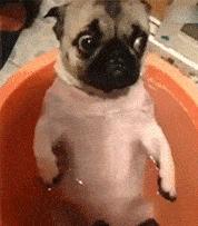 “你太低估了我的脚气，不知道还有没有救？”年轻总要付出代价