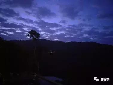 90后童年回忆布谷鸟叫,90后捕鸟