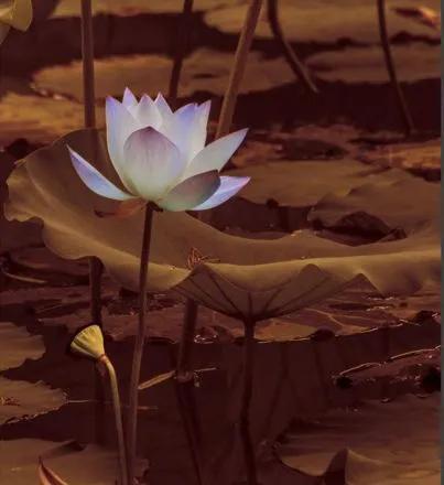 学会老祖宗流传下来的观天术,民间流传的观天术