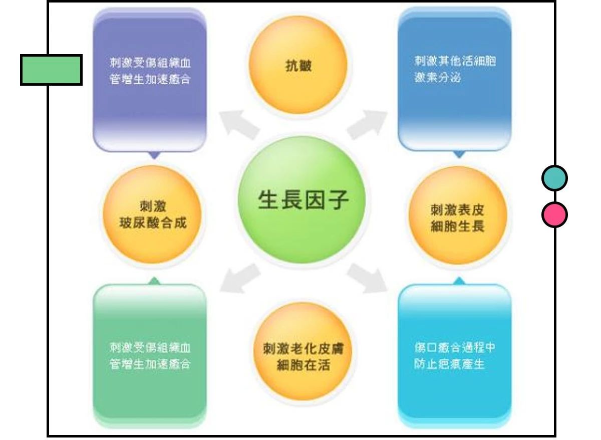 这些网红产品到底能不能买,十大网红产品个个是坑劝你别买