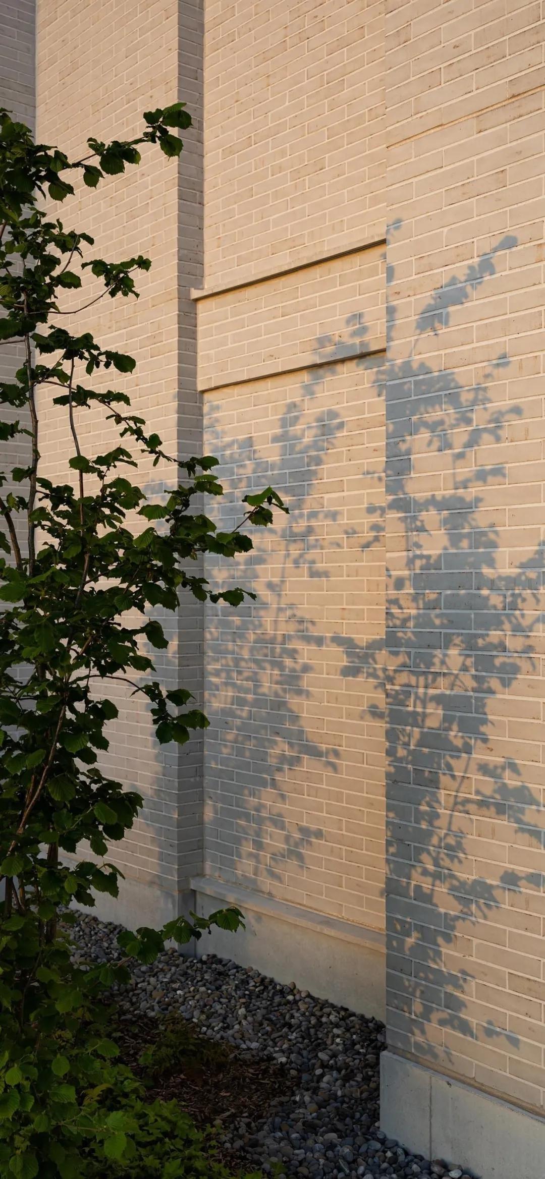 纯紫唯美壁纸,淡紫壁纸高级感