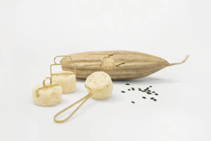 食物设计案例,健康饮食的设计意图