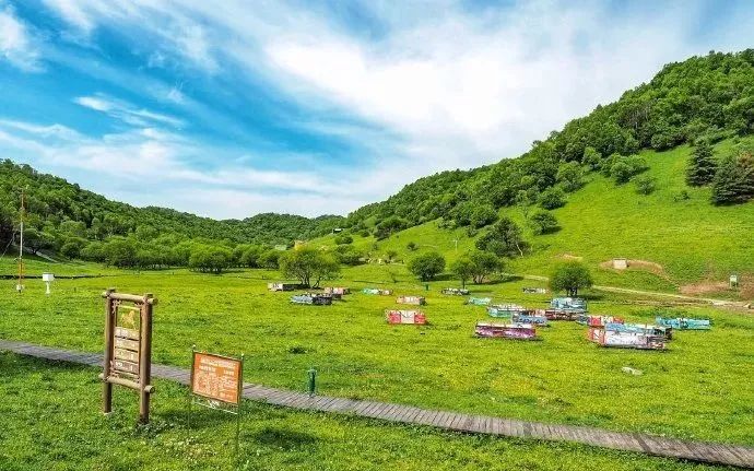 宝鸡附近避暑绝佳的地方,宝鸡十大避暑景点排名第一