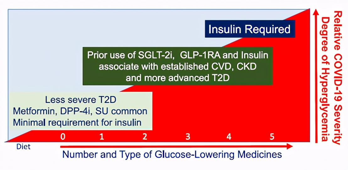 研究covid-19可在体内存活超一年,covid-19是被谁命名的