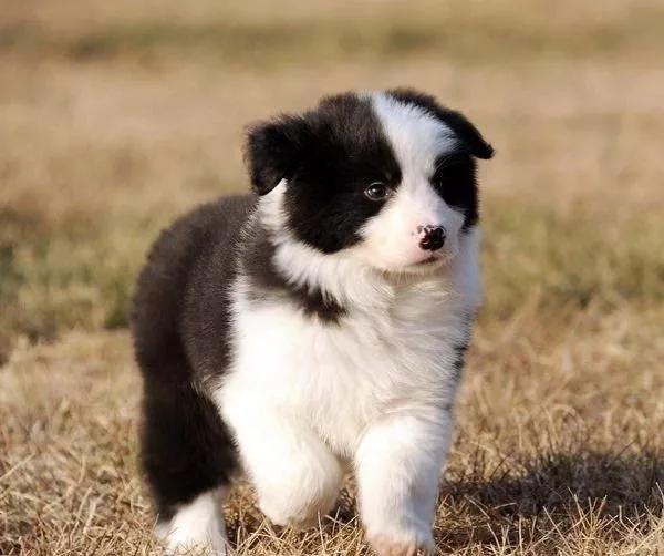 髋关节出了问题一个动作自测,这些症状你千万别再忽略了