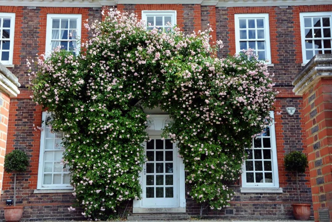 伦敦大学卡斯商学院,伦敦哈利波特学校