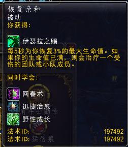 魔兽世界野德pvp视频,魔兽世界pvp第二赛季