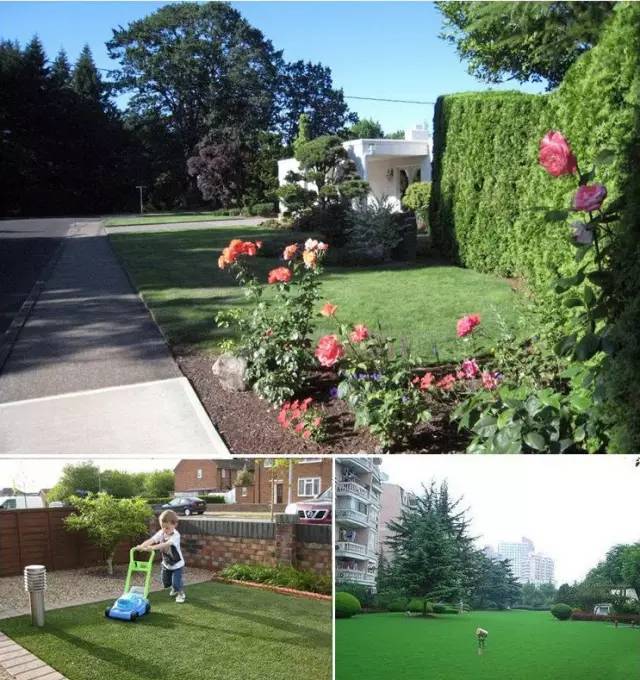 花园草地打理,花园草坪养护