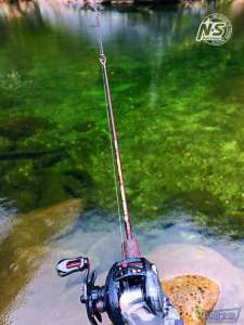 游钓篇｜渔在熊猫故里