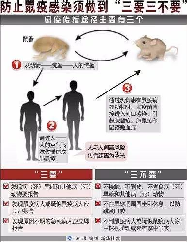 鼠疫有特效药吗,冀连梅药师简介