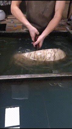 搞笑gif开心一刻满满的正能量,搞笑gif开心每一天