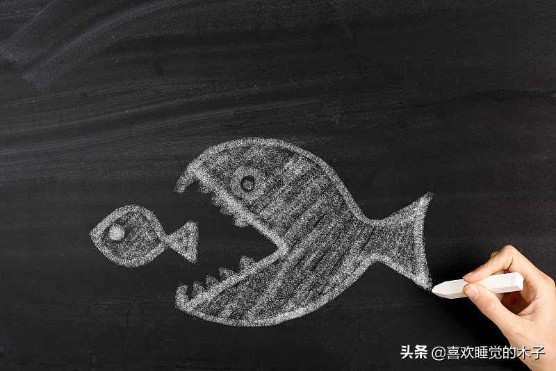 新手如何做到自媒体赚钱,农村小白自媒体赚钱吗