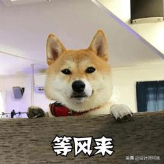 日本卫浴品牌排行,日本整体卫浴价格表