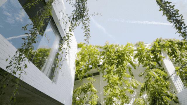 他花150万造零消耗的家，不开空调和网络：家人互动，不该隔着网