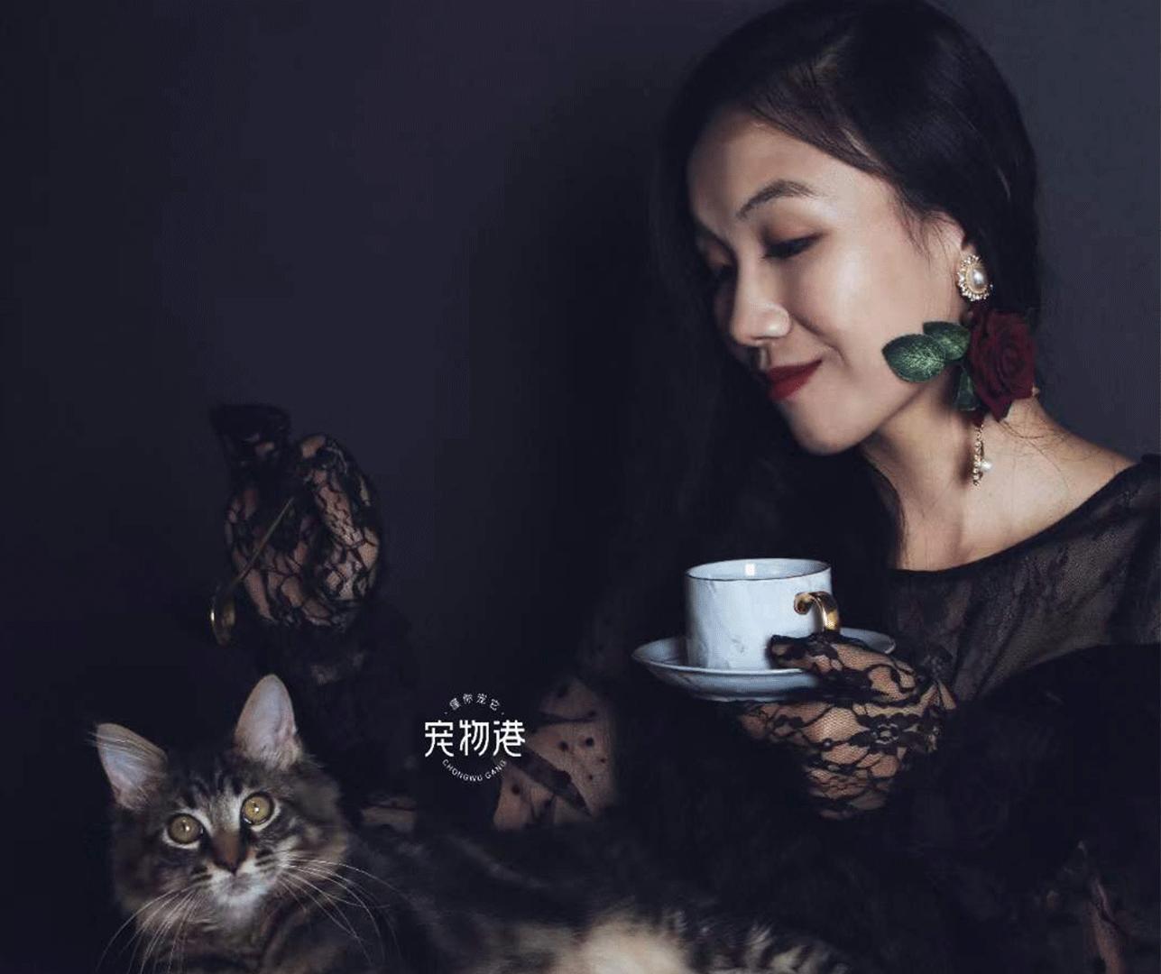 宠物港沈阳店,宠物港华业店