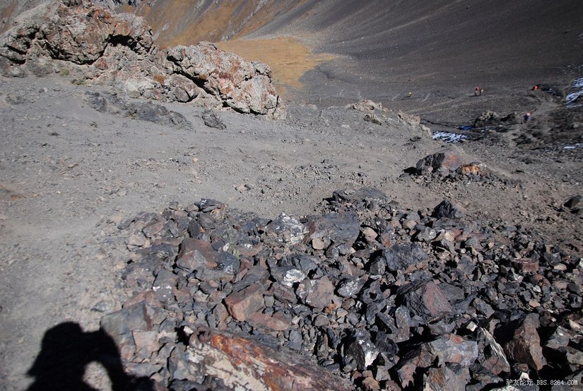 狼c调简谱教唱,狼c