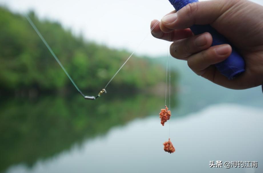 顶漂大幅顿口不中鱼什么原因,突然顶漂不中鱼怎样解决