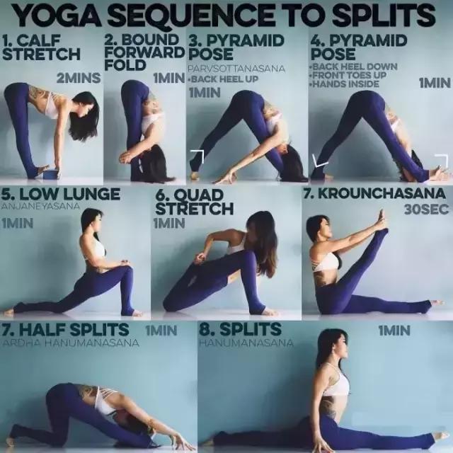 哈他正位瑜伽体式串联90分钟编排,哈他瑜伽体式分解