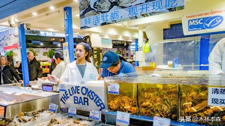 加拿大多伦多生活日记,加拿大多伦多留学生活纪实