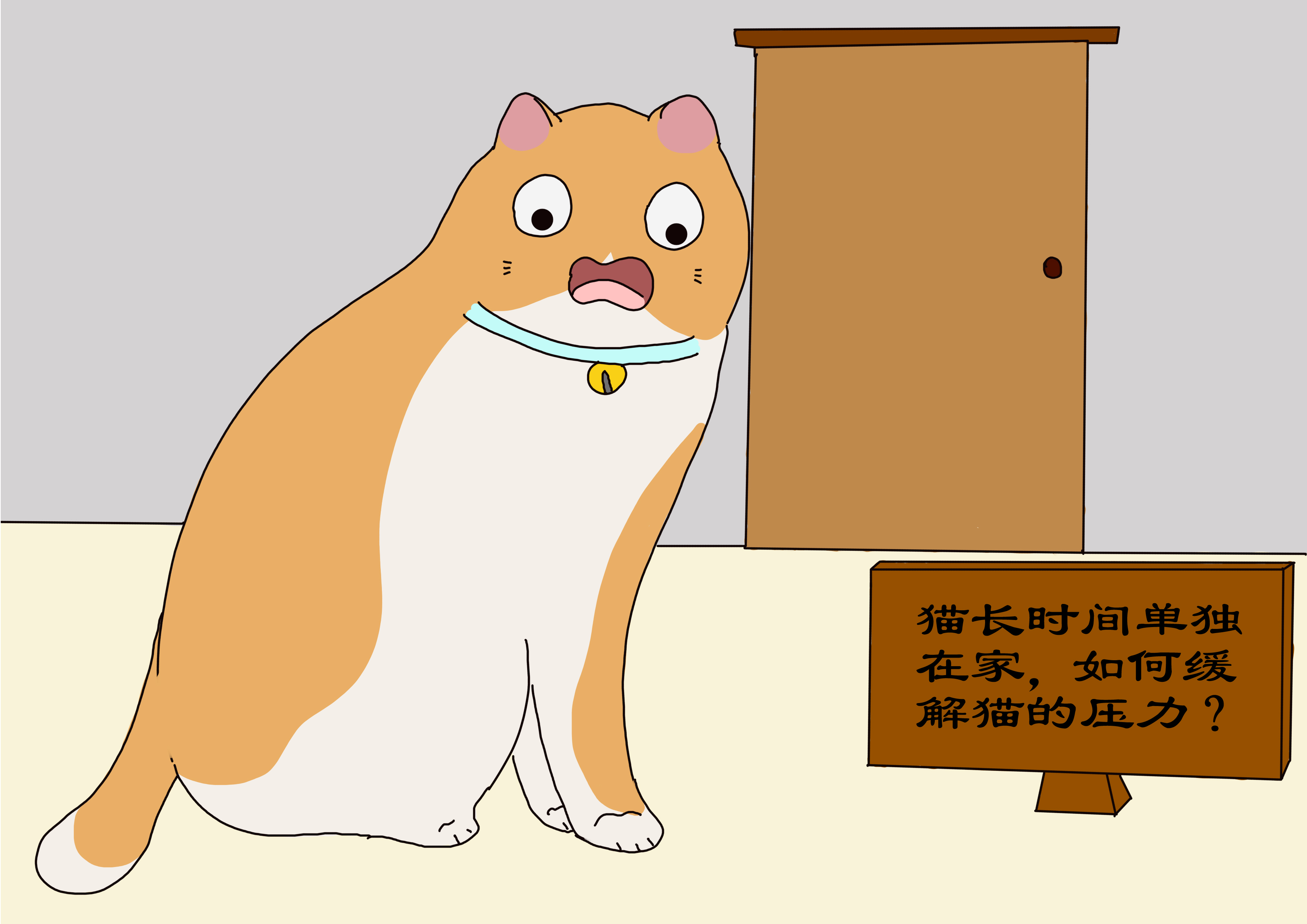 猫长时间单独在家，3种方式缓解猫的压力，铲屎官要转移猫注意力