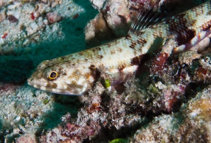 海底你不知道的东西,海底世界东海龙宫