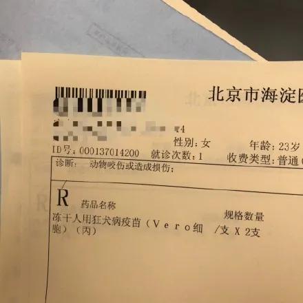 给我家猫新交了一个嘚瑟的朋友,我家猫送亲戚了准备再养一只猫