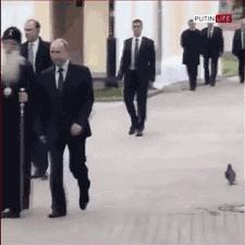 普京已执政整整20年了,他最近又秀了一把新技能