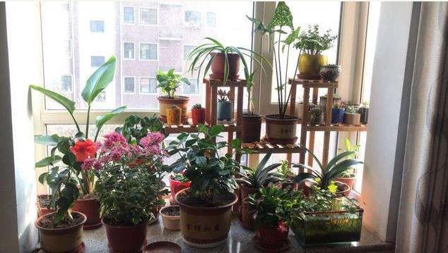 这三种药建议收藏,这3种药不能随便用