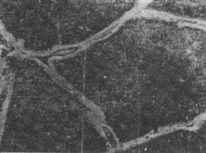 金属热处理的缺点,金属热处理硬度通用检测标准