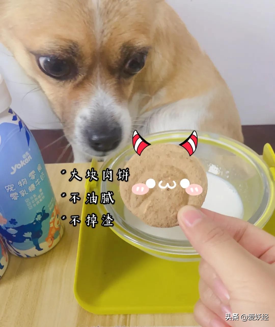 怡亲新品冻干生骨肉，据说是可以做主食的零食