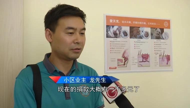 小狗被主人用502灌鼻子,小狗被灌502胶水