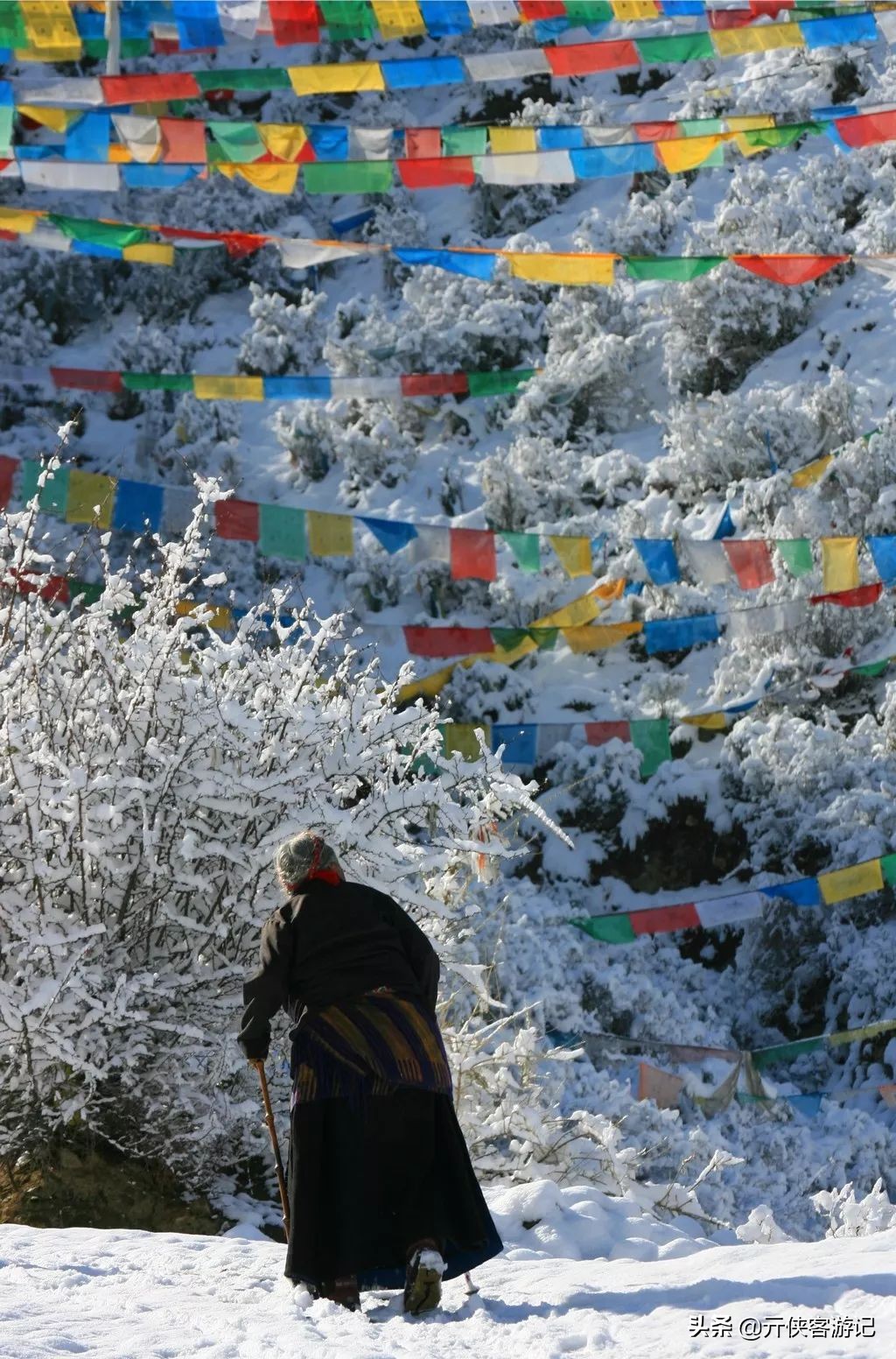 我竟然在*藏西**的冬天，竞遇到了如此多的仙境