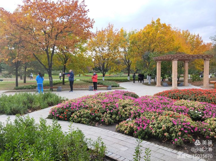 哈尔滨素描俱乐部,哈尔滨素描画室