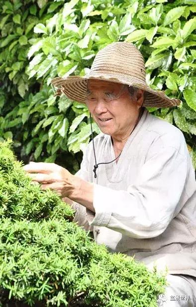 走进韩国思索之苑，这里算得上世界最美的庭园吗