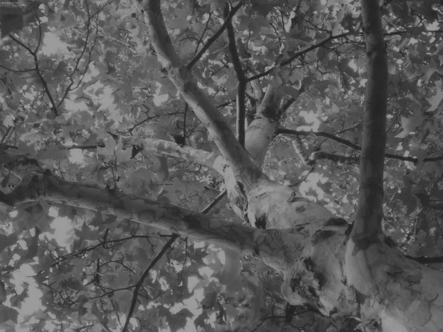 故城时光经典片段,故城时光