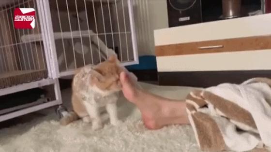 关于脸上长脚气这件事 (脸上有脚气会发生什么)