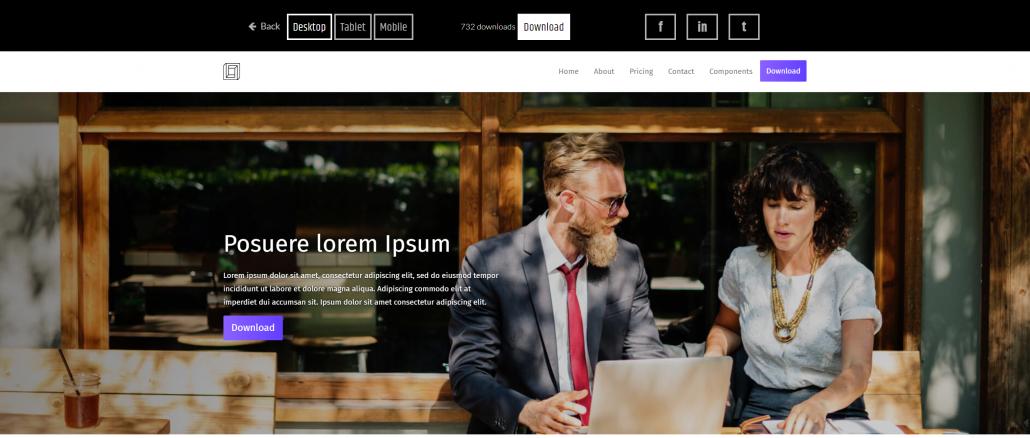 各种模板下载的网站,混搭范本价格