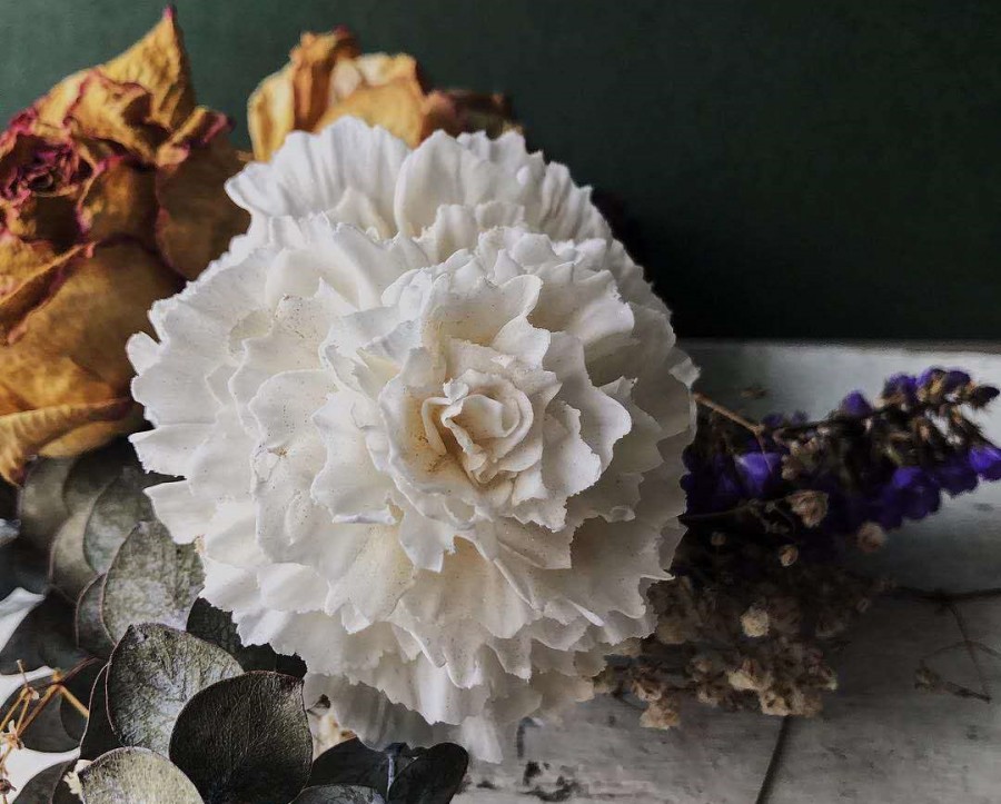 母亲节为什么要送女朋友礼物,母亲节送什么颜色的康乃馨