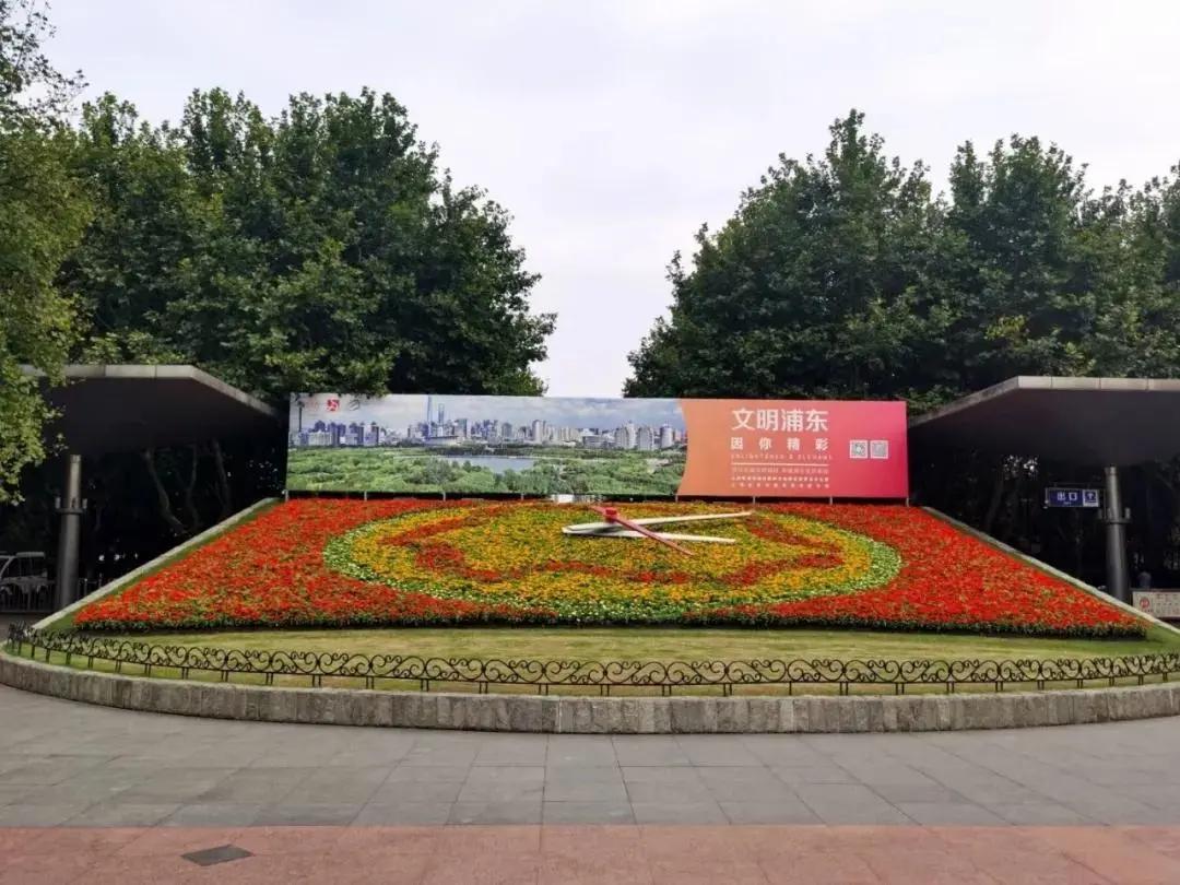 世纪公园拍照馆,世纪公园拍照出片的地方