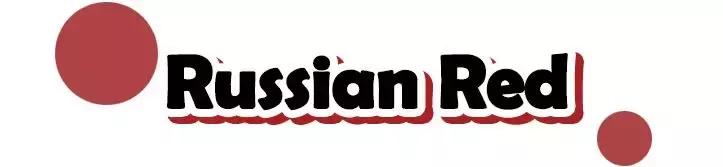 m.a.c口红色系,mac口红921