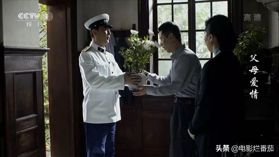 父母爱情为何拿奖,父母爱情总共获得几回奖