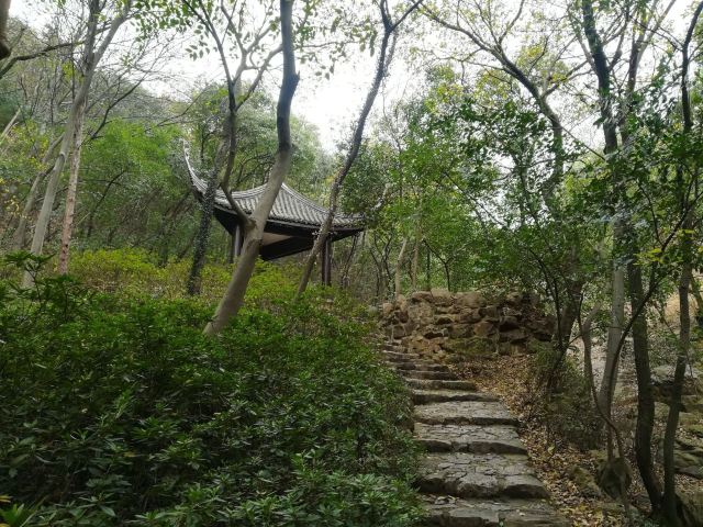 江南第一山无锡门票,无锡惠山古镇的江南第一山有什么