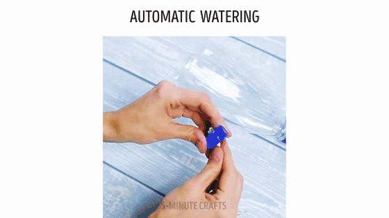 水培蔬菜家庭阳台种菜超简单,不用土在家种菜简单方法